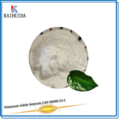 Butyrate chimique de enracinement d'indol de potassium d'hormone de poudre d'extrait d'usine d'Iba-K CAS 60096-23-3