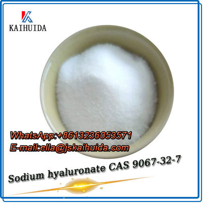 Produits cosmétiques matières premières Poudre blanche Hyaluronate de sodium Acide hyaluronique CAS 9067-32-7